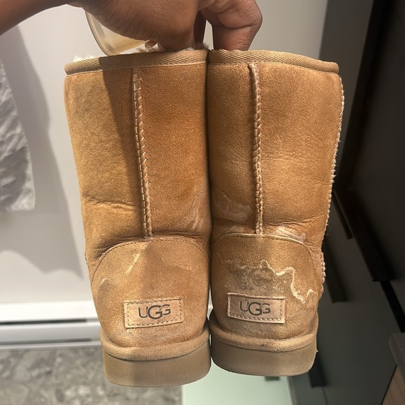 Short Chestnut Uggs - Picture 2 of 6